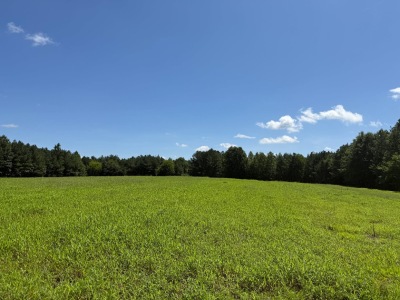 74.3 Acres Northwest Wake County photo 8
