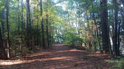 74.3 Acres Northwest Wake County photo 12