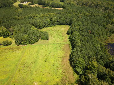 22.335 Acres on Brassfield Rd - Woodland, Pasture, South Granville photo 2