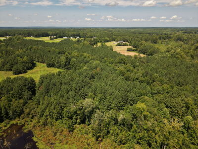 22.335 Acres on Brassfield Rd - Woodland, Pasture, South Granville photo 3