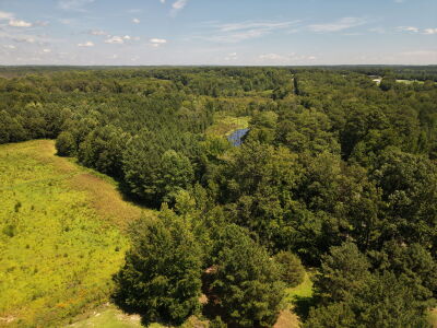 22.335 Acres on Brassfield Rd - Woodland, Pasture, South Granville photo 5