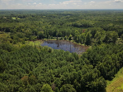 22.335 Acres on Brassfield Rd - Woodland, Pasture, South Granville photo 7