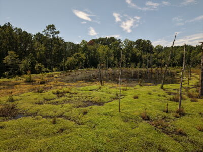22.335 Acres on Brassfield Rd - Woodland, Pasture, South Granville photo 10