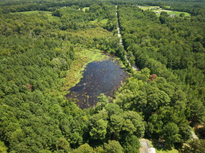 22.335 Acres on Brassfield Rd - Woodland, Pasture, South Granville photo 11