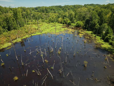 22.335 Acres on Brassfield Rd - Woodland, Pasture, South Granville photo 12