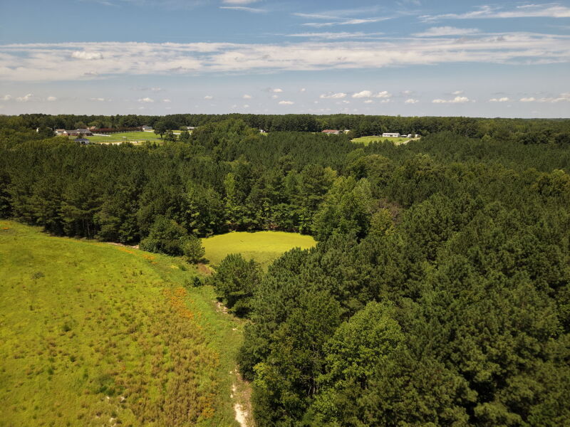 Brassfield Road — photo