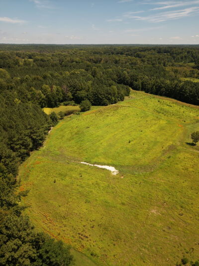 10.159 Acres on Brassfield Road — Pond, Pasture, South Granville photo 4