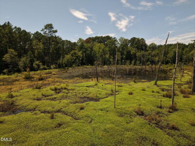 (tract C) Brassfield Road photo 9