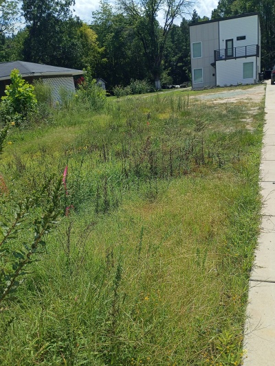 Ready to Build Lot Near Downtown Durham  photo 3