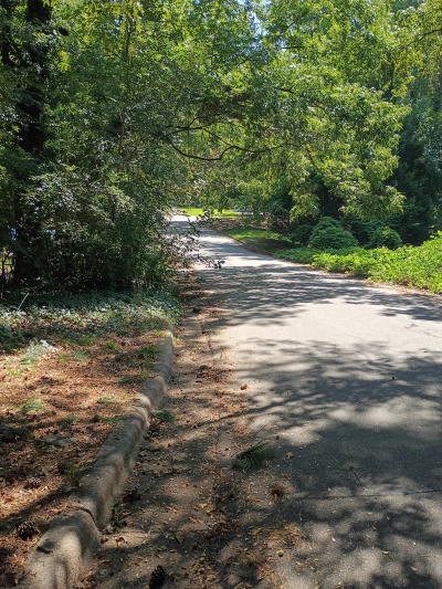 Build Opportunity in Raleigh photo 5
