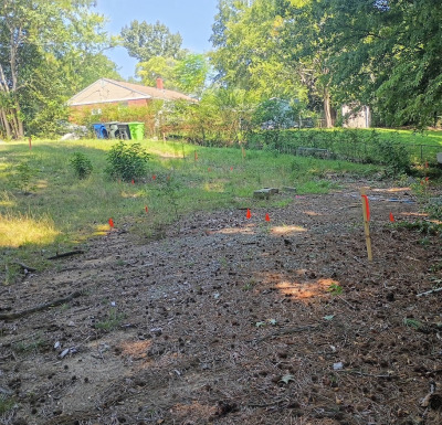 Build Opportunity in Raleigh photo 3
