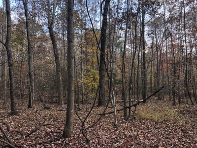 Hunting & Camping Retreat photo 4
