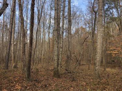 Hunting & Camping Retreat photo 5