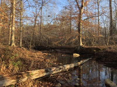 Hunting & Camping Retreat photo 6