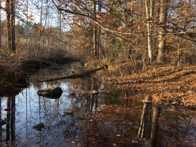 Hunting & Camping Retreat photo 8
