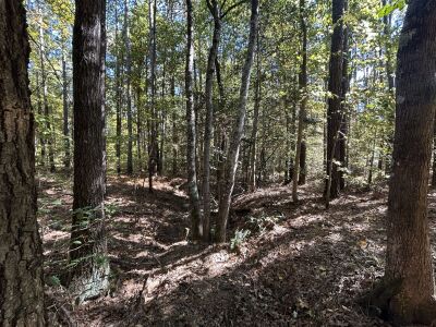 4.2+/- Acres near Beaver Dam Lake photo 4