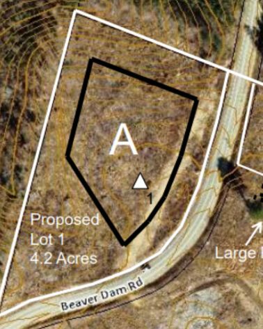 4.2+/- Acres near Beaver Dam Lake photo 5