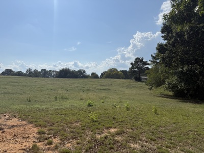 Beautiful Acreage with Potential for Multiple Lots photo 2