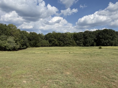 Beautiful Acreage with Potential for Multiple Lots photo 5