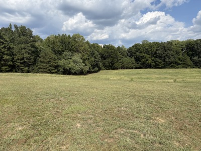 Beautiful Acreage with Potential for Multiple Lots photo 7