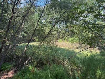Beautiful Acreage with Potential for Multiple Lots photo 8