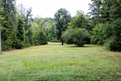 Lakeside House on 18 Acres photo 18