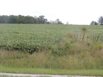 1353 Beasley Road photo 8