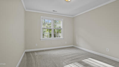 205 Saranac Ridge Drive photo 10