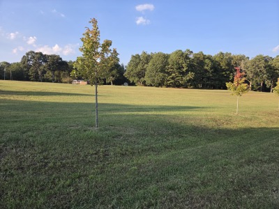 4.7 acres with pasture and building sites photo 2