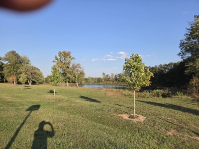 4.7 acres with pasture and building sites photo 3