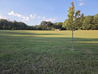 4.7 acres with pasture and building sites photo 4