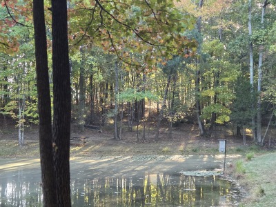 22 Acres with Significant Road Frontage photo 2