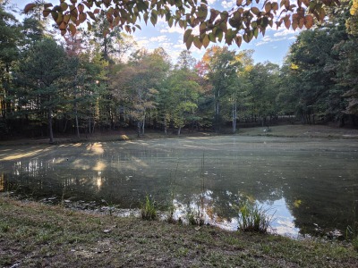 22 Acres with Significant Road Frontage photo 5
