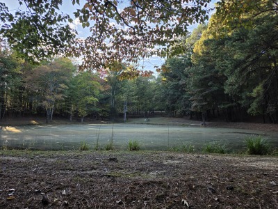 22 Acres with Significant Road Frontage photo 6