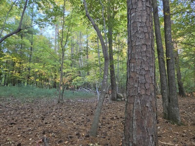 22 Acres with Significant Road Frontage photo 7
