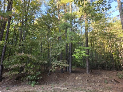 22 Acres with Significant Road Frontage photo 8