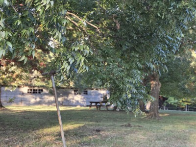 22 Acres with Significant Road Frontage photo 10