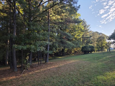 22 Acres with Significant Road Frontage photo 12