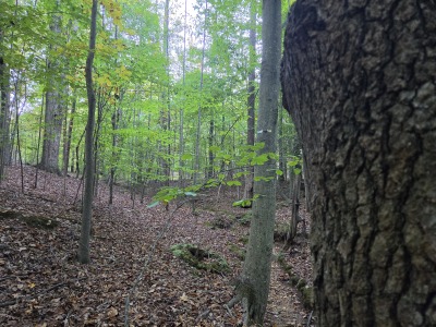 22 Acres with Significant Road Frontage photo 15