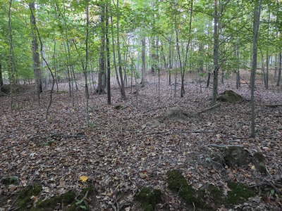 22 Acres with Significant Road Frontage photo 16