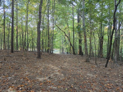 22 Acres with Significant Road Frontage photo 17