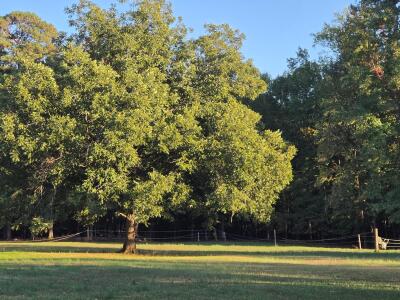 22 Acres with Significant Road Frontage photo 18