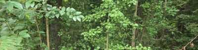 Available Lot — Downtown Durham photo 1