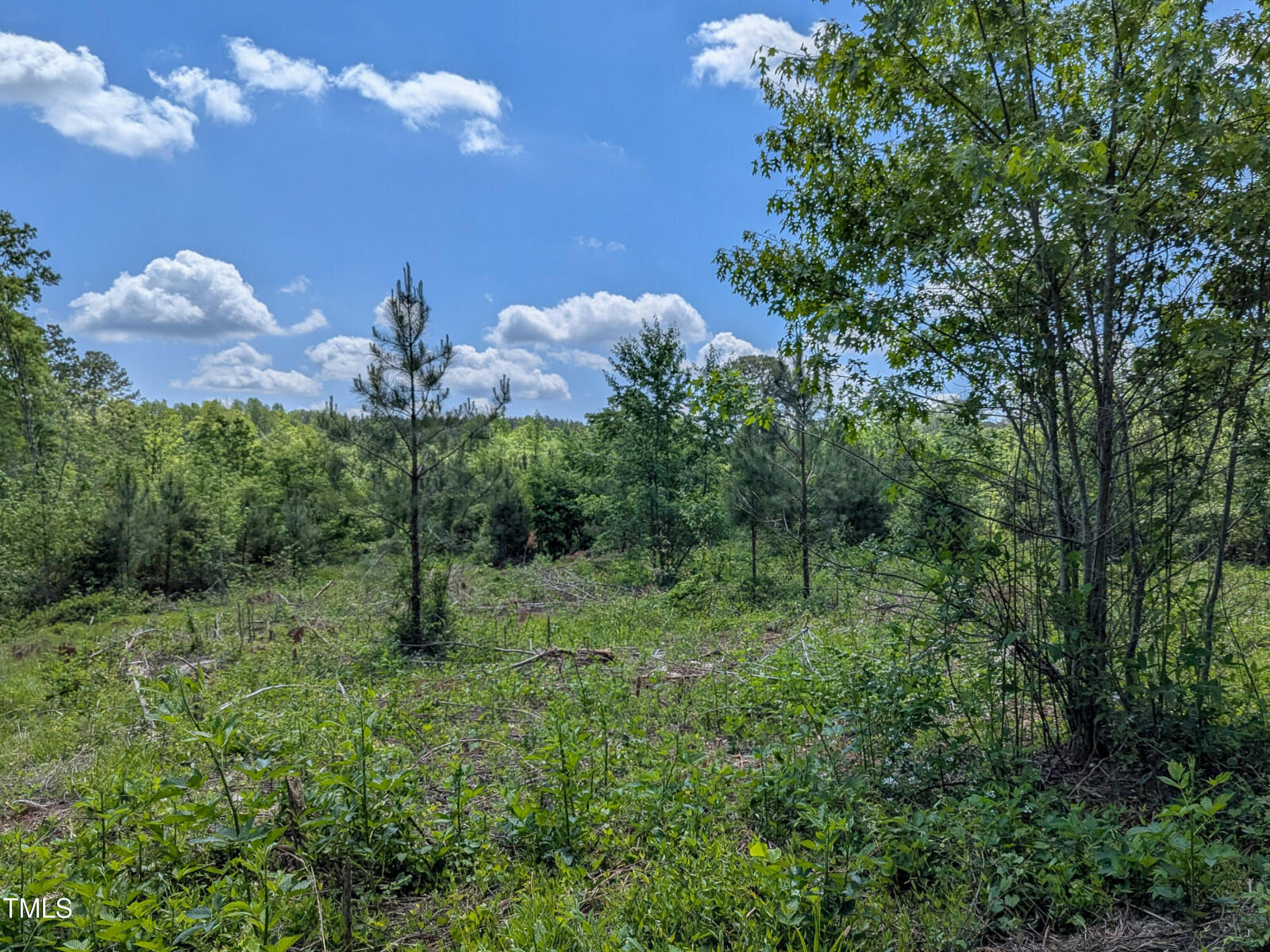 0 Cypress Creek Drive