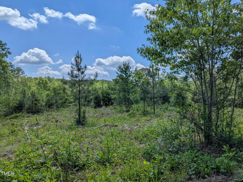 0 Cypress Creek Drive