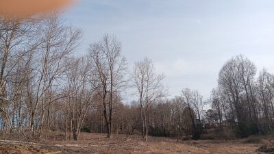 10 to 12+ Acres Near Louisburg photo 5