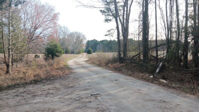 10 to 12+ Acres Near Louisburg photo 7